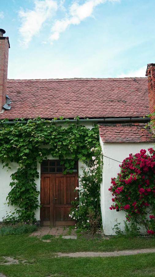 Casa Rudi & Ella Hotel Saliste  Ngoại thất bức ảnh