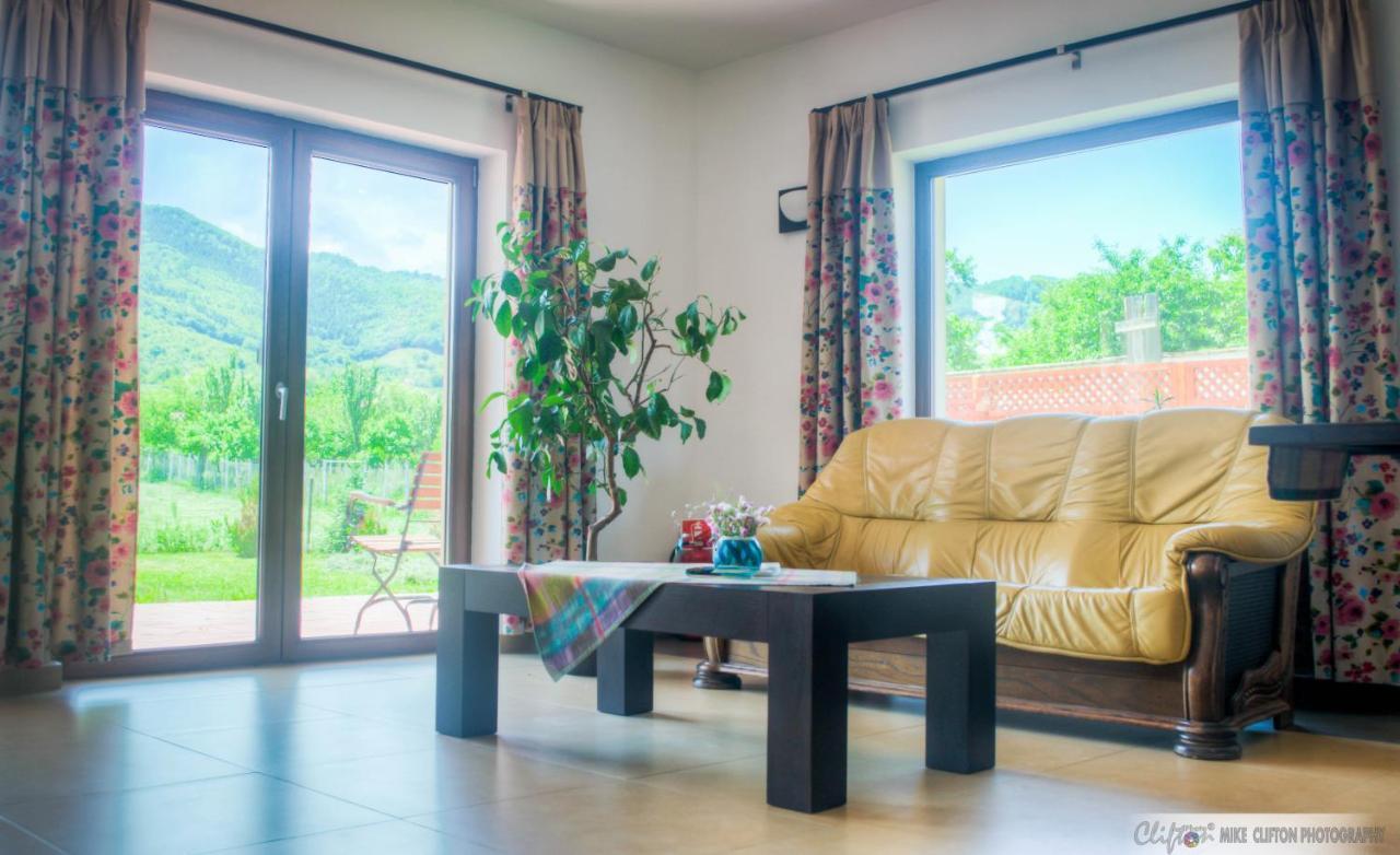 Casa Rudi & Ella Hotel Saliste  Ngoại thất bức ảnh