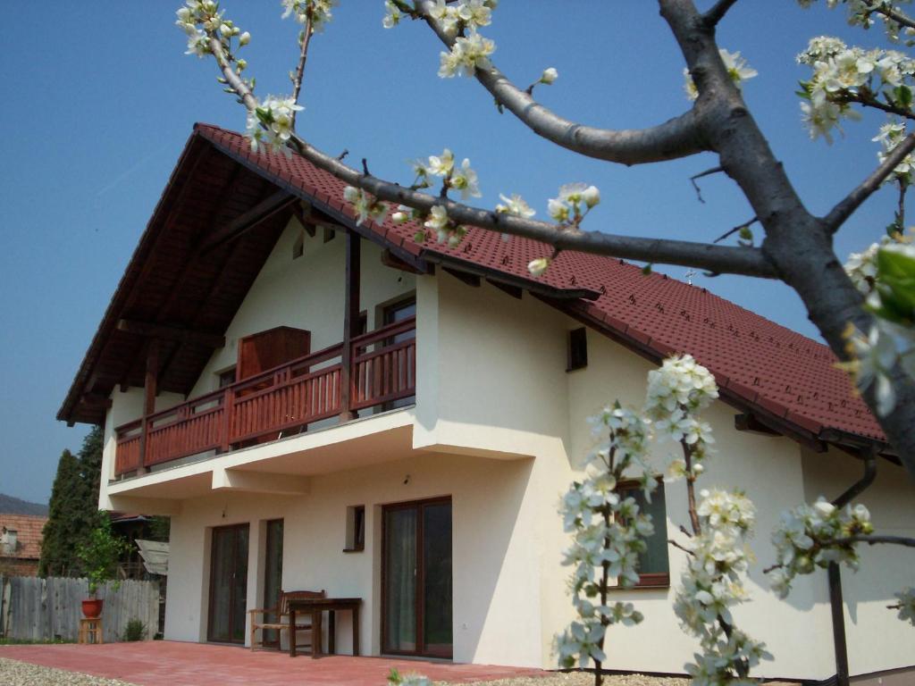 Casa Rudi & Ella Hotel Saliste  Ngoại thất bức ảnh